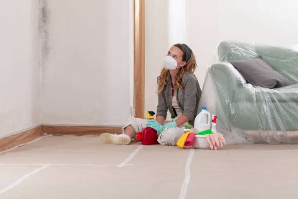 Reliable Black Mold Removal contractor in Jenners, PA by WQB Mold Removal